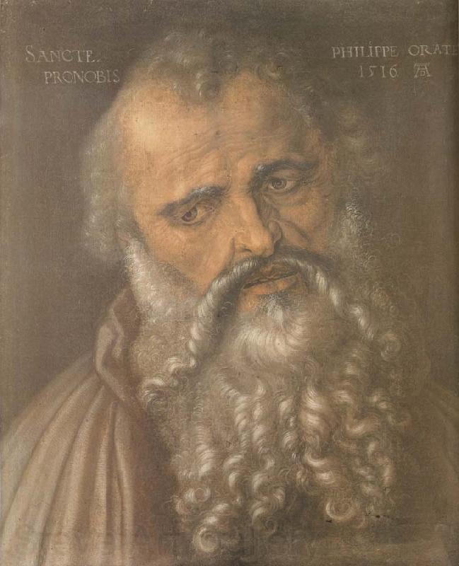 Albrecht Durer Head of the Apostle Philip Norge oil painting art
